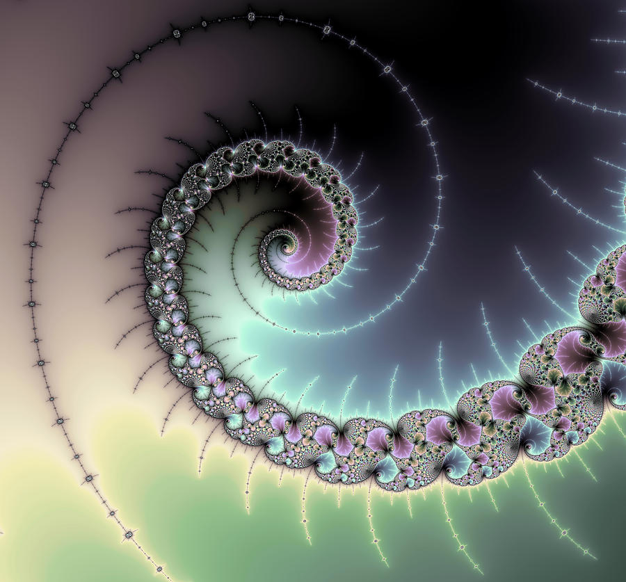 Beautiful mandelbrot fractal - spiral Digital Art by Matthias Hauser