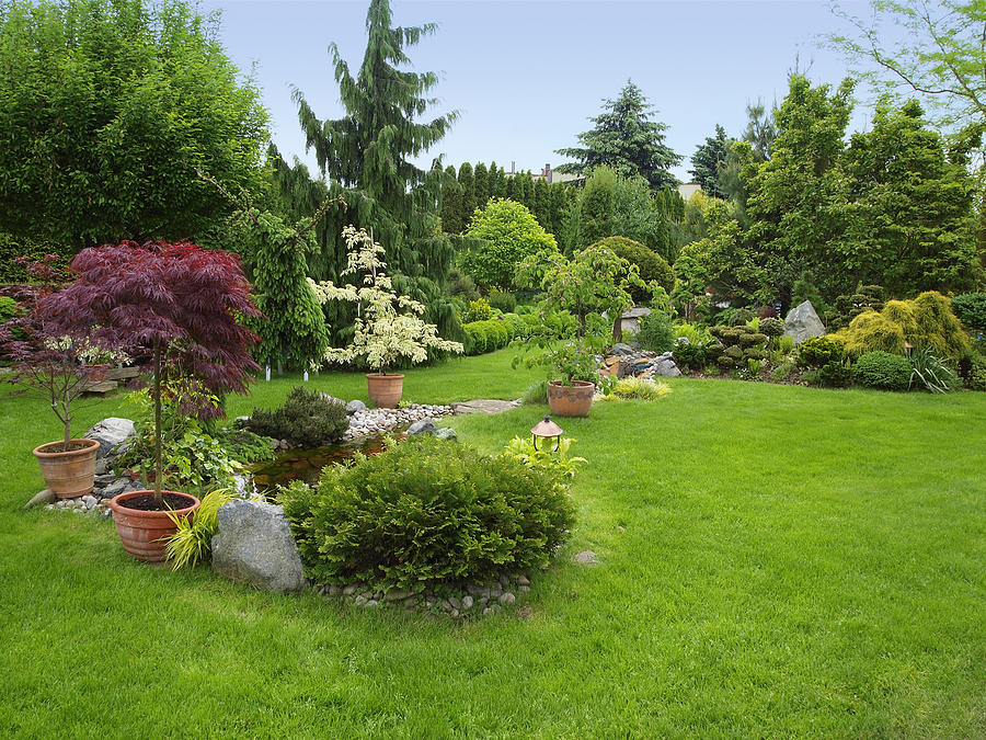 Beautiful manicured garden with bushes, trees, stones, pond, juicy grass Photograph by Domin_domin