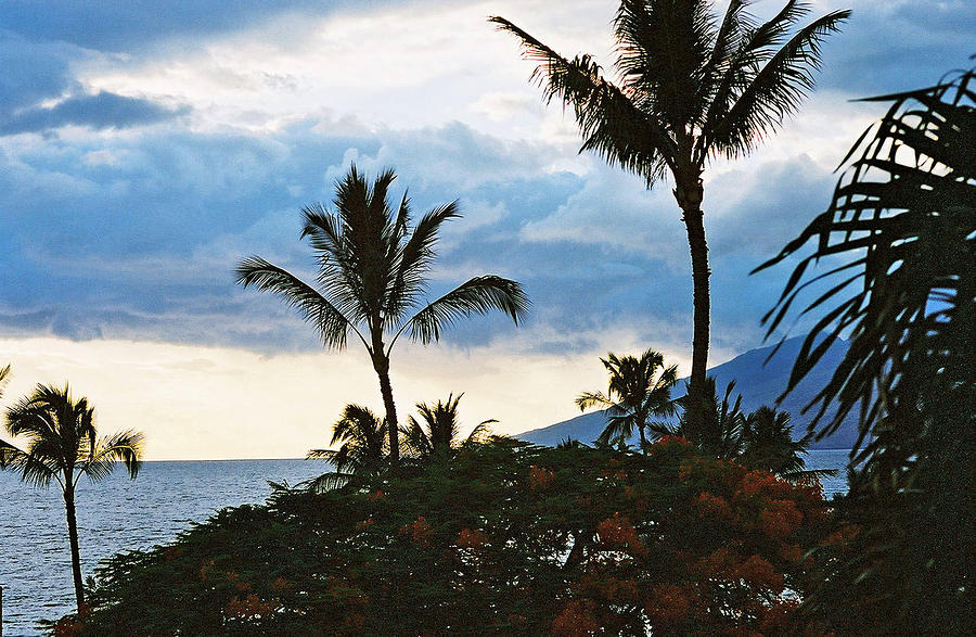 Beautiful Maui Lan 44 Photograph by Gordon Sarti