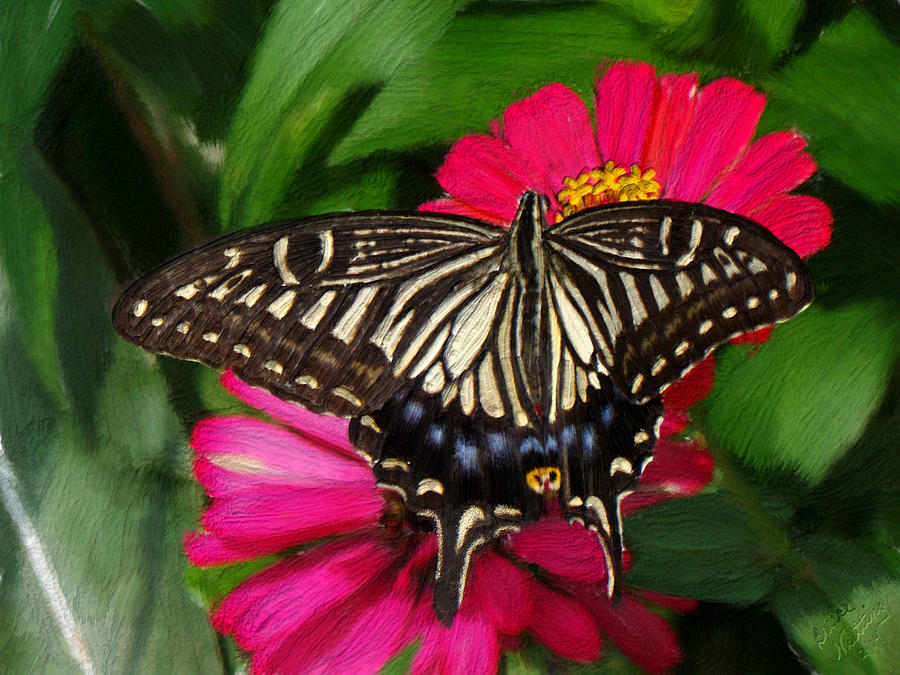 Beautiful Swallowtail Butterfly Painting by Bruce Nutting