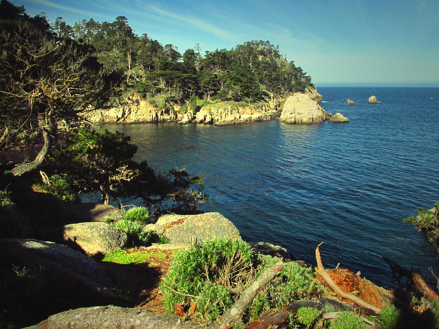 Tree Photograph - Beautiful Monterey Bay From Point Lobos by Joyce Dickens