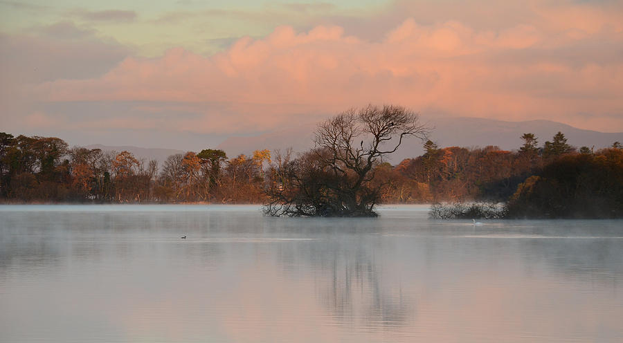 Killarney National Park Photograph - Beautiful morning by Barbara Walsh