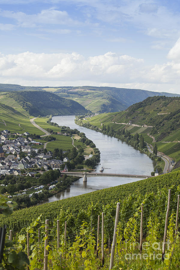 Beautiful Mosel river Photograph by Patricia Hofmeester