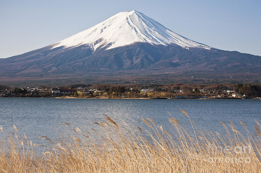 Beautiful Mount Fuji with lake japan Photograph by Panithan Fakseemuang ...