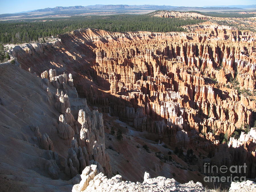 Nature Photograph - Cedar Breaks - Beautiful Nature by Christiane Schulze Art And Photography