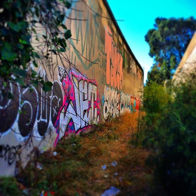 Oakland Photograph - Pink Graffiti by Tom Parrette