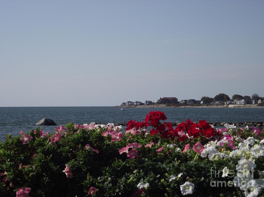 Beautiful Old Saybrook Photograph by Michelle Welles
