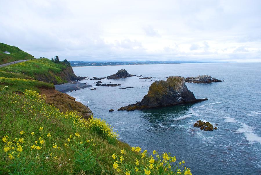 Beautiful Oregon coastline Photograph by Richard Jenkins