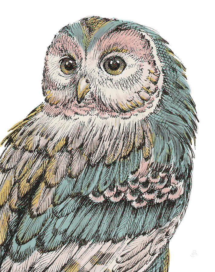 beautiful-owls-i-pastel-daphne-brissonnet.jpg