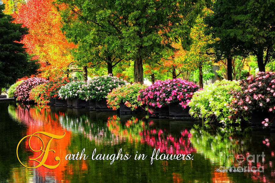 Beautiful Park with Autumn Trees and Colorful Flowers Photograph by Beverly Claire Kaiya