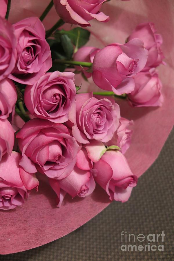 Flower Photograph - Beautiful Pink Roses 3 by Tara  Shalton