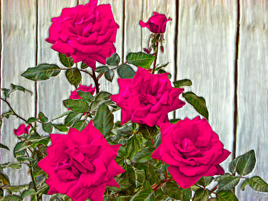 Beautiful Pink Roses Painting by Bruce Nutting