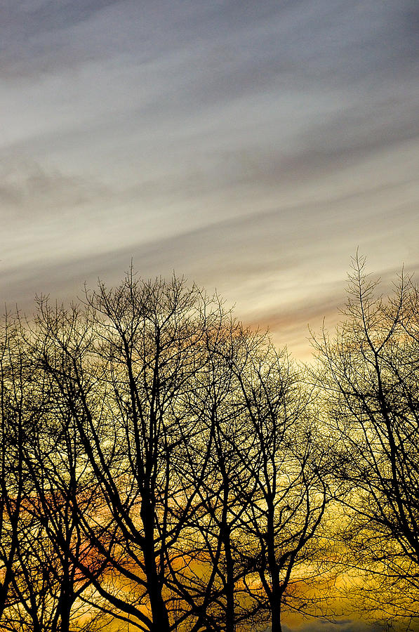 Beautiful Portland Sunset Photograph by Shmuel Vick - Fine Art America