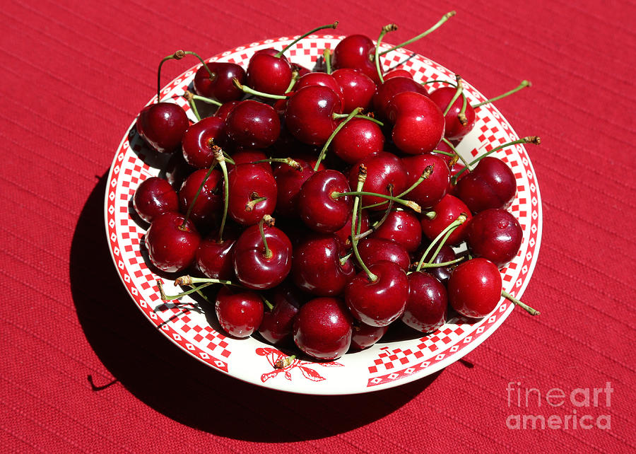 Beautiful Prosser Cherries Photograph by Carol Groenen