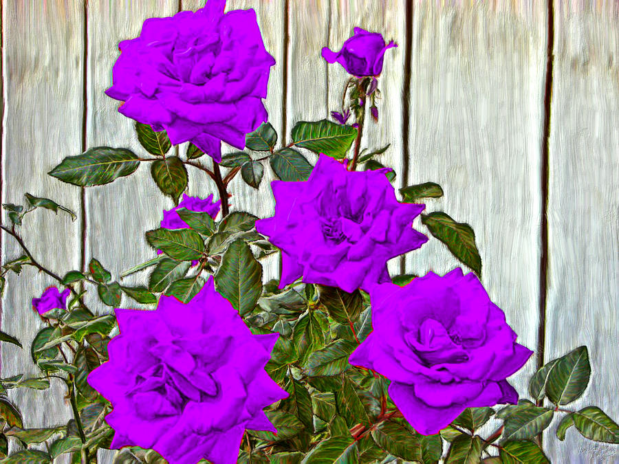 Beautiful Purple Roses Painting by Bruce Nutting