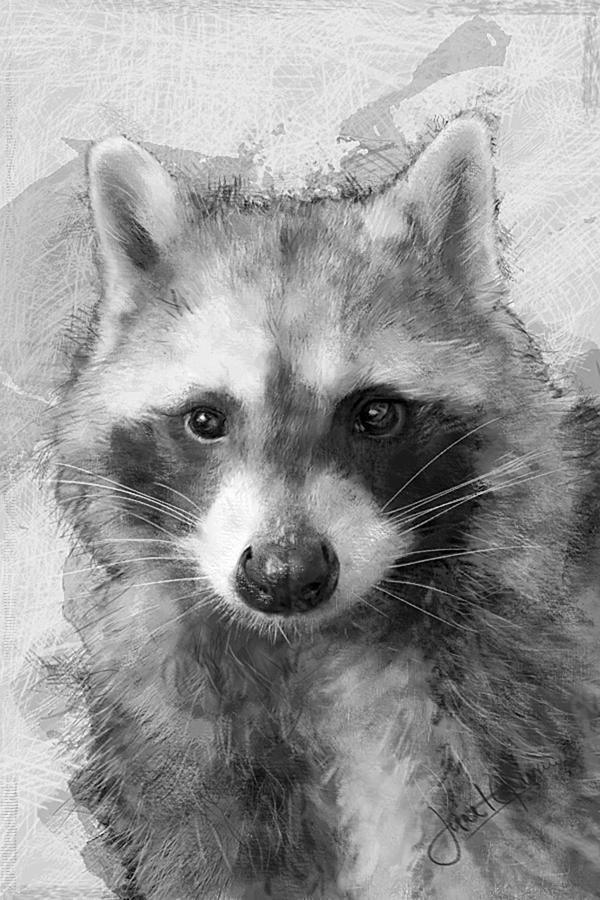 Beautiful Raccoon Mixed Media by Janet Garcia