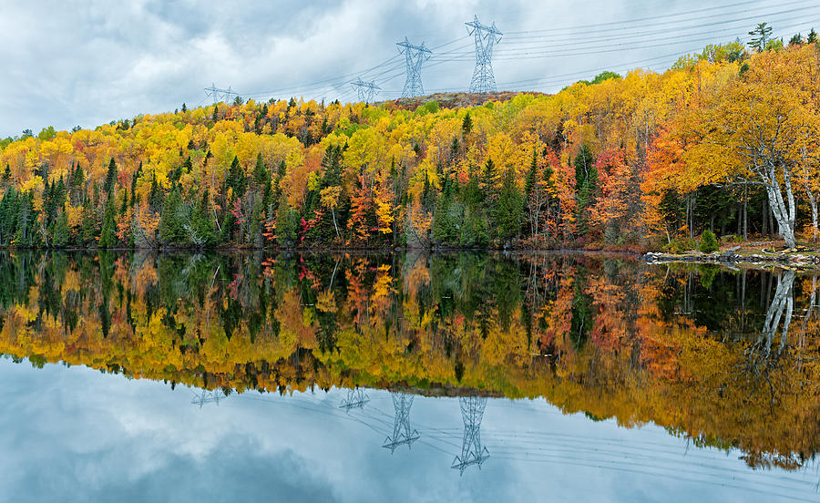 Beautiful reflections of a autumn forest in a lake Photograph by U Schade