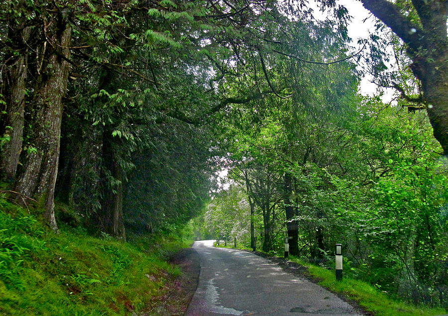 Beautiful Road In Scotland Photograph by Denise Mazzocco
