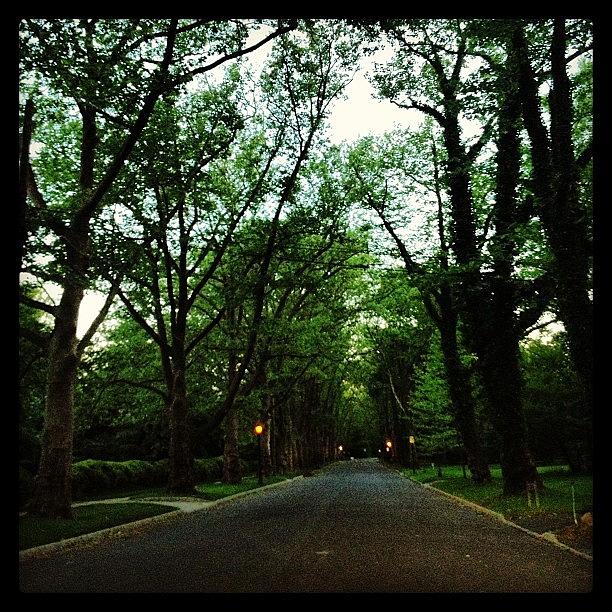 Beautiful Road On The Princeton Photograph by Jenna Jones