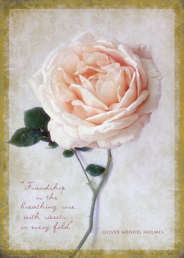 Beautiful Rose Happy Birthday Friend Greeting Card Photograph by Louise Kumpf