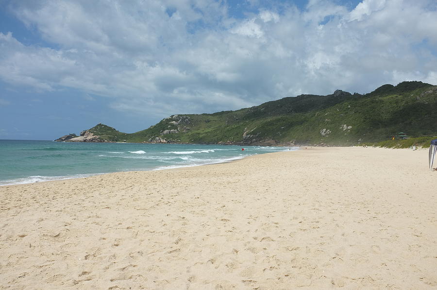 Beautiful Sandy Beach In Brazil Photograph by Lily Currie
