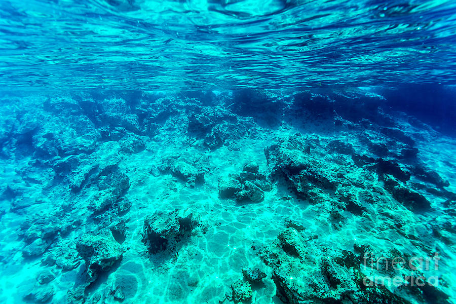 Beautiful seabed background Photograph by Anna Om