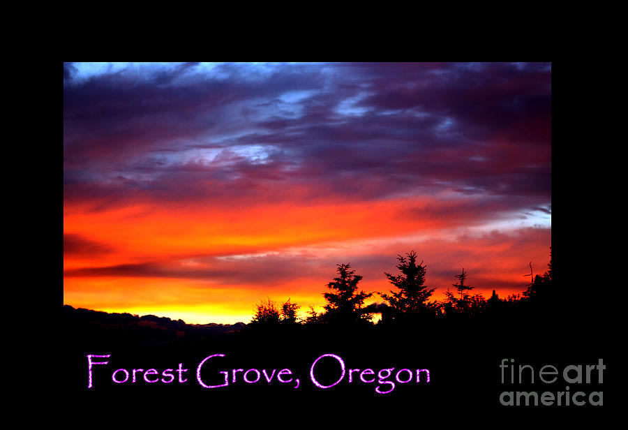 Beautiful Skies Forest Grove Photograph by Nick Gustafson