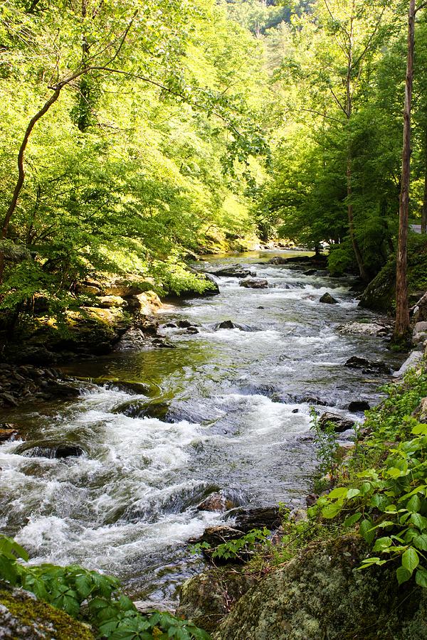 Beautiful Smoky Mountain Stream Photograph by Cynthia Woods - Fine Art ...