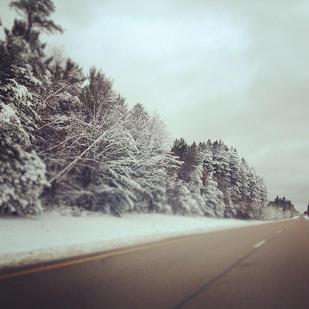 Upnorth Photograph - Beautiful Snow Covered Forest On 127n by Bri Crittenden