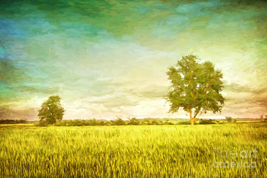 Summer fields of wheat/ digital painting Photograph by Sandra Cunningham