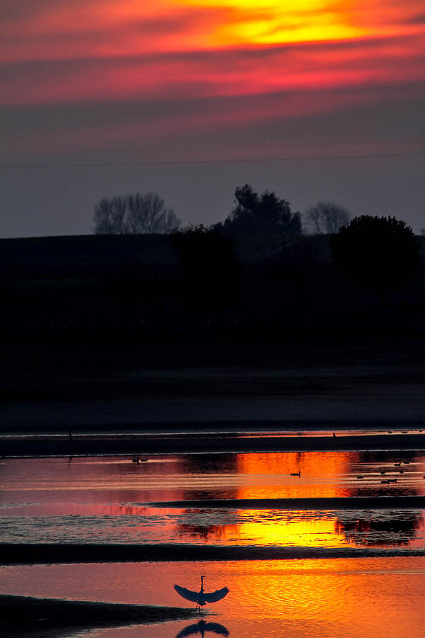 Sunset Photograph - Beautiful Sun Set on the Lake by Brian Williamson