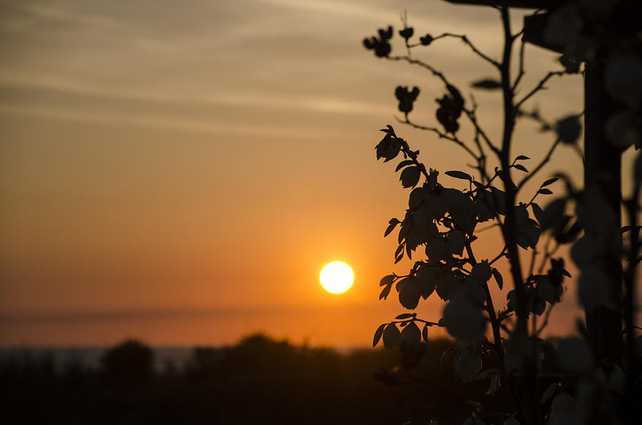 Beautiful Sunrise Photograph by Bill Cannon