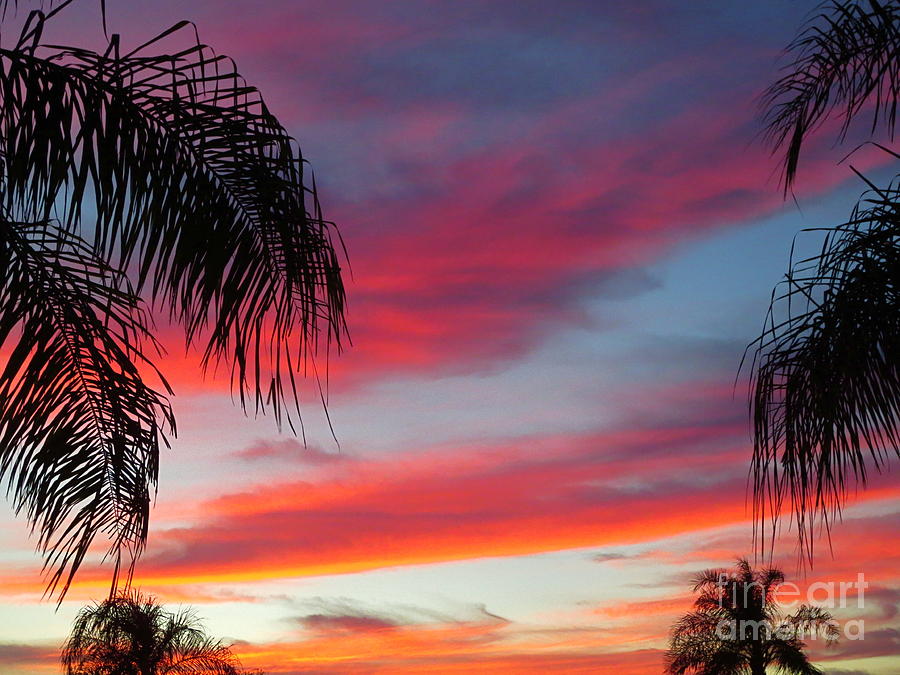 Beautiful Sunset Cloud Patterns. Photograph by Robert Birkenes