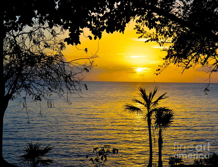 Beautiful Sunset Photograph by Debbi Granruth