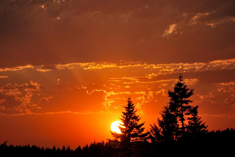 Sunset Photograph - Beautiful Sunset I by Kathy Sampson