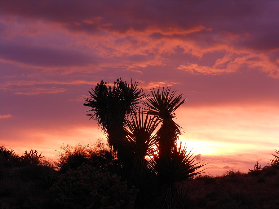 Sunset Photograph - Beautiful Sunset In Arizona by James Welch
