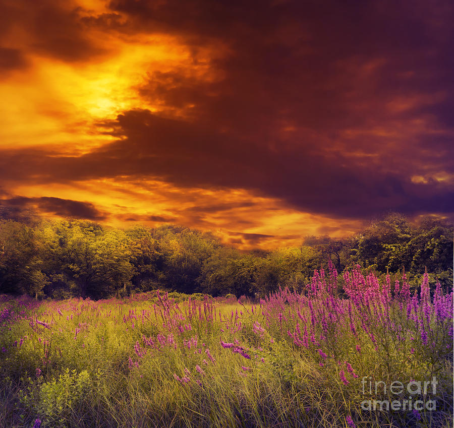 Sunset Photograph - Beautiful Sunset by Jelena Jovanovic