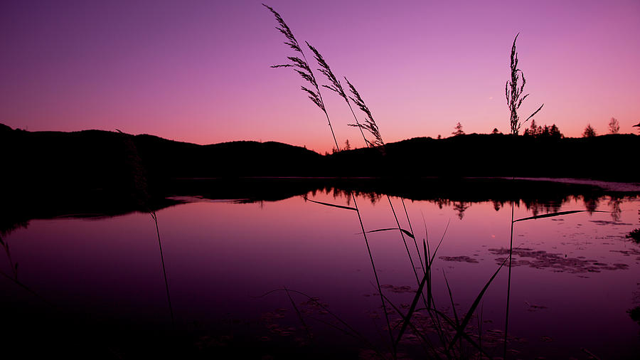 Beautiful Sunset Over The Lake At St Photograph by Roland Shainidze Photogaphy