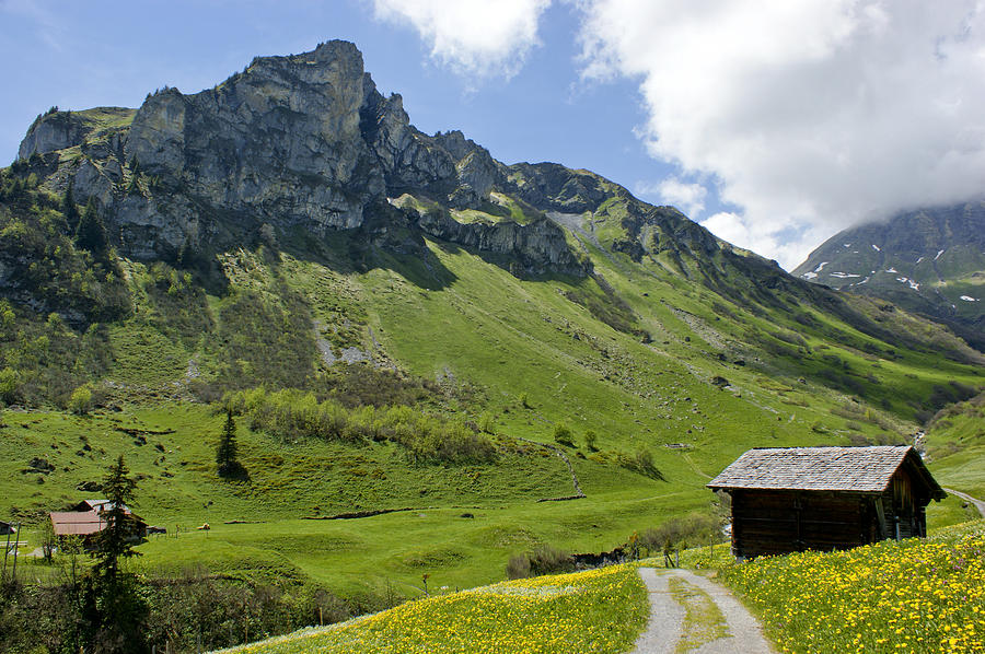 Beautiful Swiss Alps Photograph by Brian Kamprath