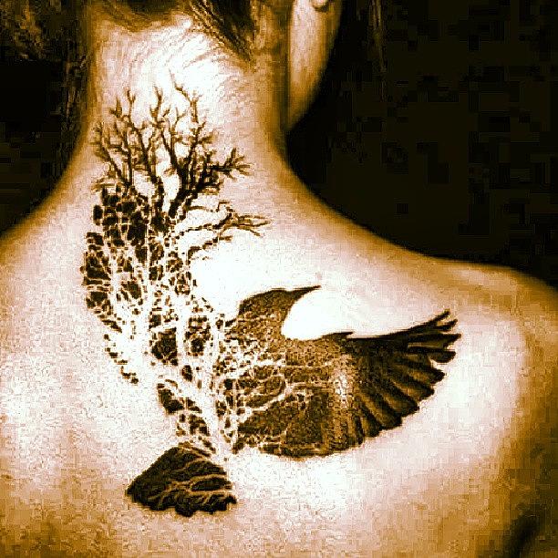 Tree Photograph - Beautiful Tattoos #tree #bird by Brandon Fisher