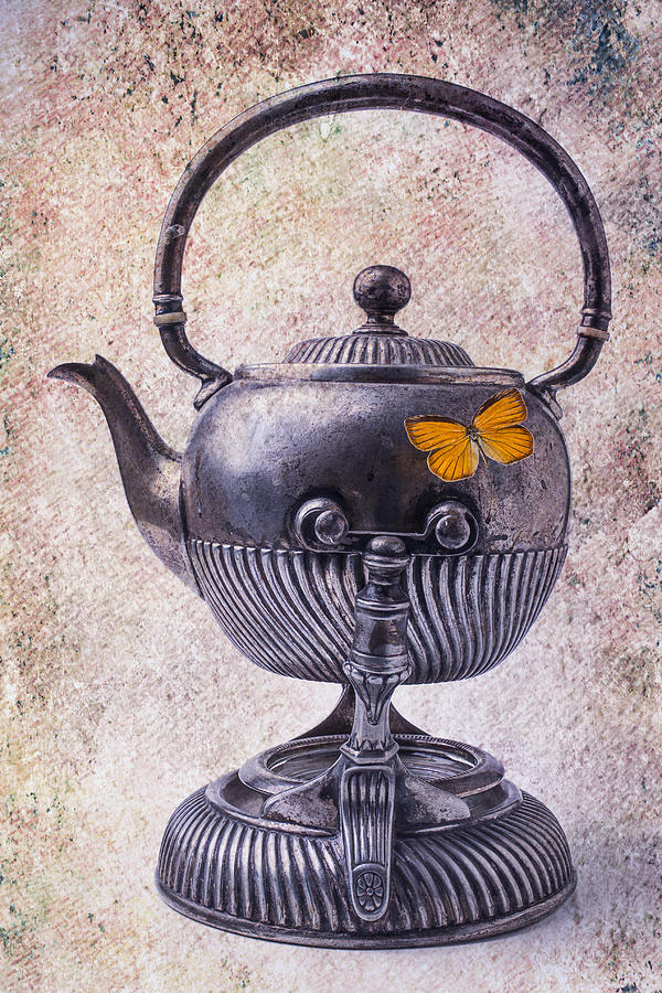 Beautiful Teapot Photograph by Garry Gay