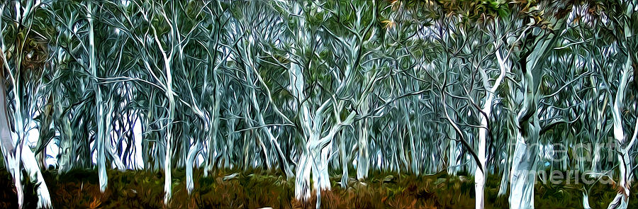 Tree Digital Art - Beautiful Trees by Phill Petrovic