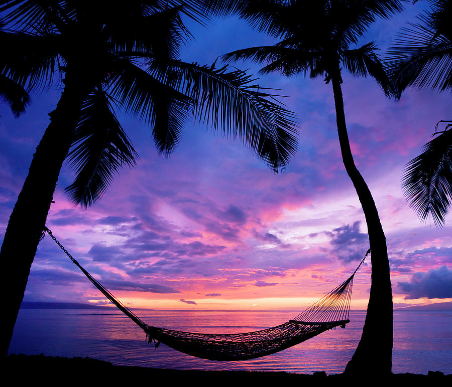 Beautiful Vacation Sunset Hammock Photograph By Design Pics Vibe Fine Art America
