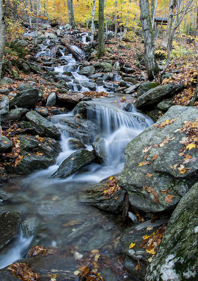 Beautiful Vermont Scenery 32 Photograph by Paul Cannon | Fine Art America