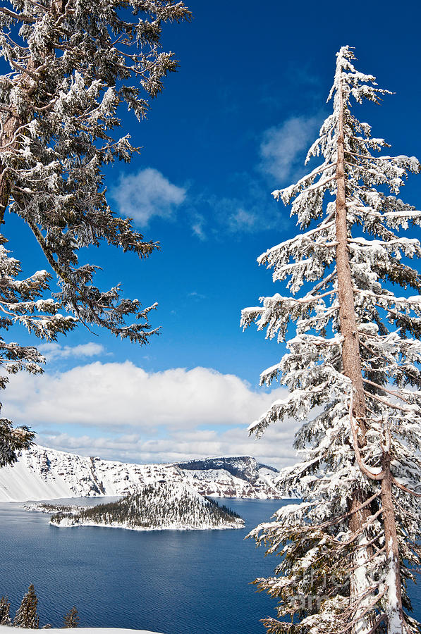 Crater Lake National Park Photograph - Beautiful view of Crater Lake covered in snow in the winter. by Jamie Pham