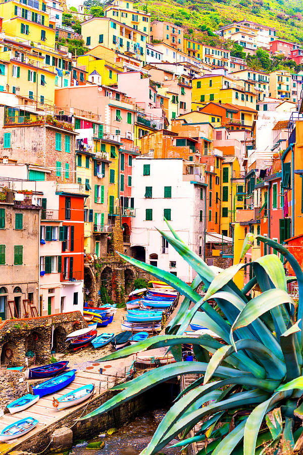 Beautiful view of Riomaggiore Photograph by Gehringj