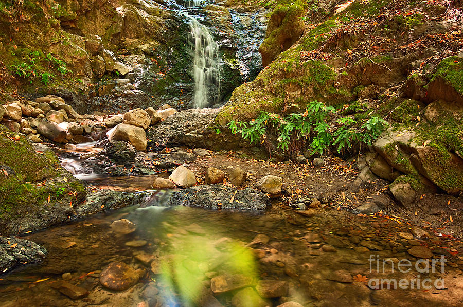 Beautiful view of Upper falls located in Uvas Canyon County Park. Photograph by Jamie Pham