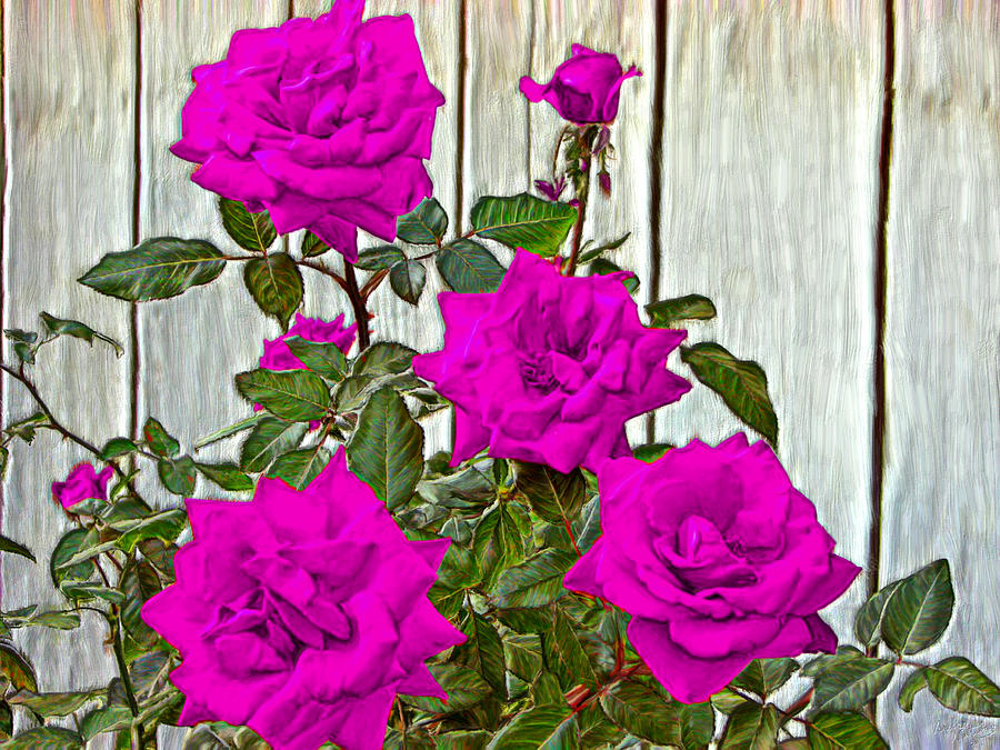 Beautiful Violet Roses Painting by Bruce Nutting