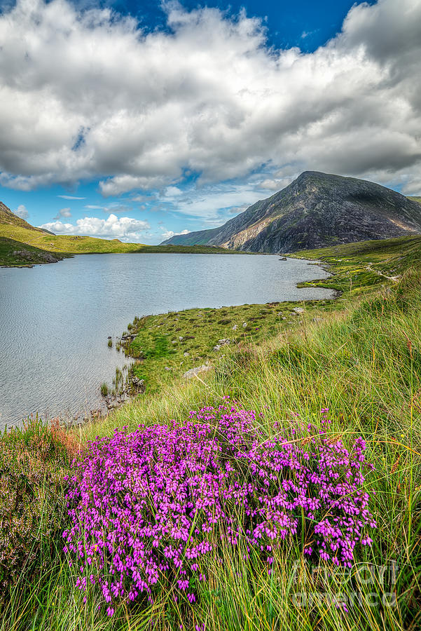 Beautiful Wales Photograph by Adrian Evans