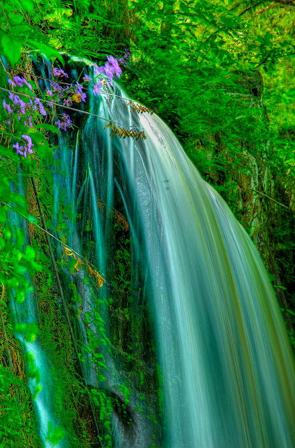 Beautiful Water Falls Photograph by Louis Dallara